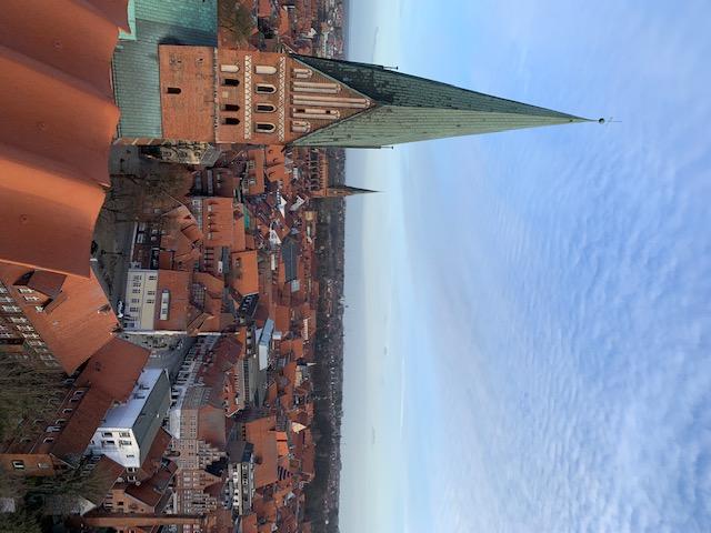Photo over a city with brown roofs and a spire in the foreground